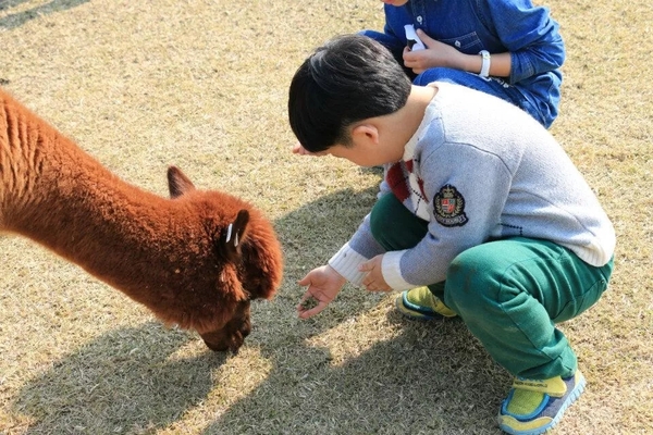 巴比松30.jpg